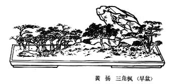 Chinese landscape on plate (21)